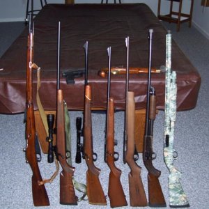 Long Guns And Handguns