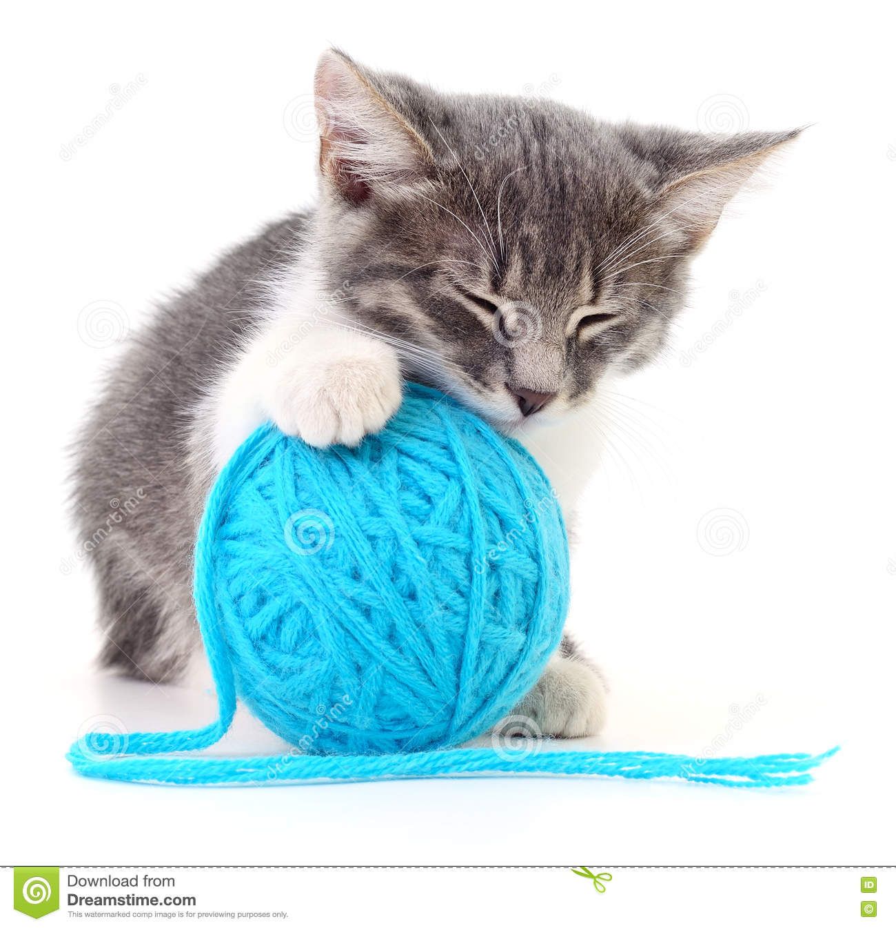 cat-ball-yarn-small-funny-kitten-clew-thread-white-background-77602283.jpg