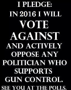 2016 Gun Vote.jpg