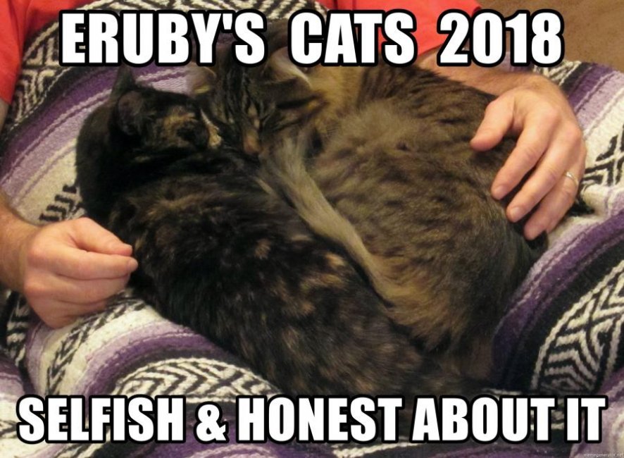 erubys-cats-2018.jpg