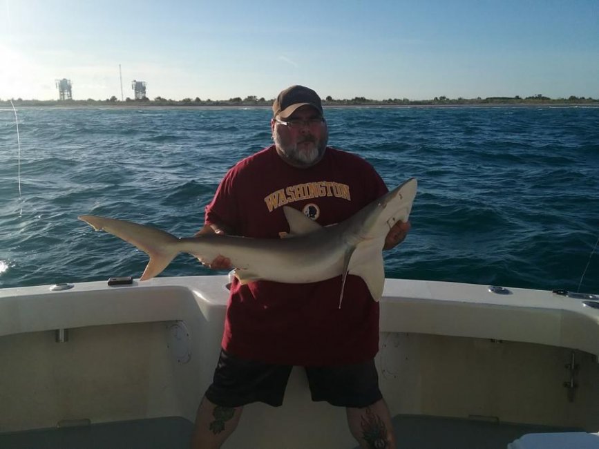 Shark Off Cape Canaveral 2018.jpg