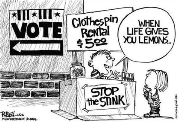 Stink vote.JPG