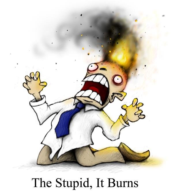the stupid-it burns.jpg