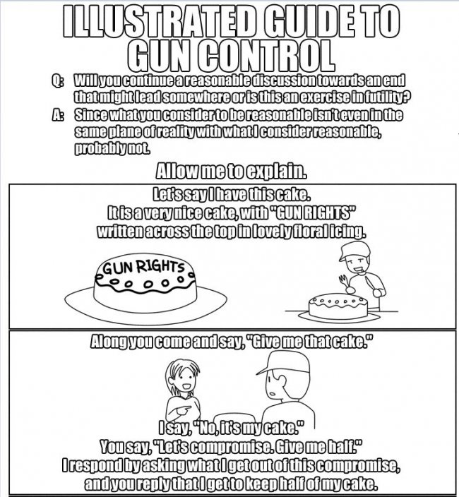 GunControl1.JPG