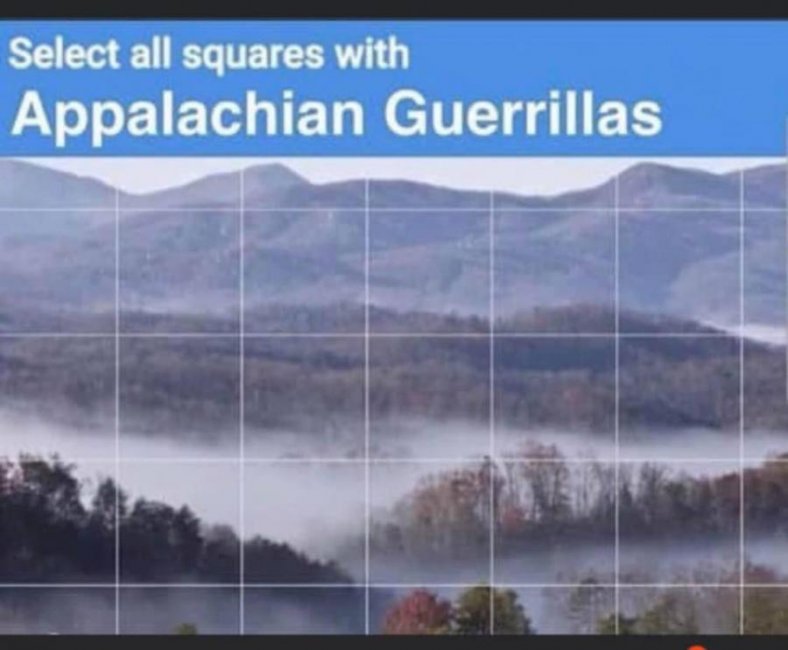 Appalachian-Guerillas-1024x845.jpg