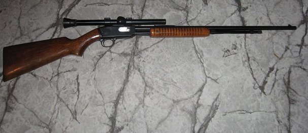 Winchester 22 -1.jpg