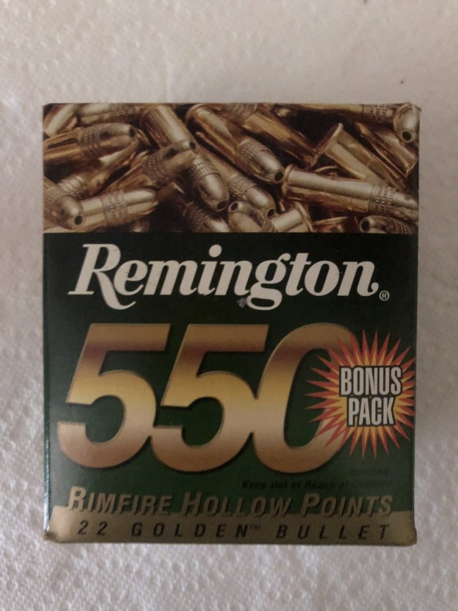 Remington 22LR hollow point