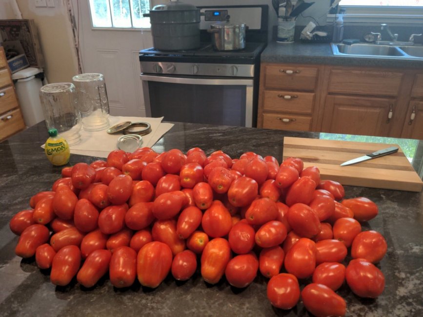 canning-tomatos-08-2022.jpg