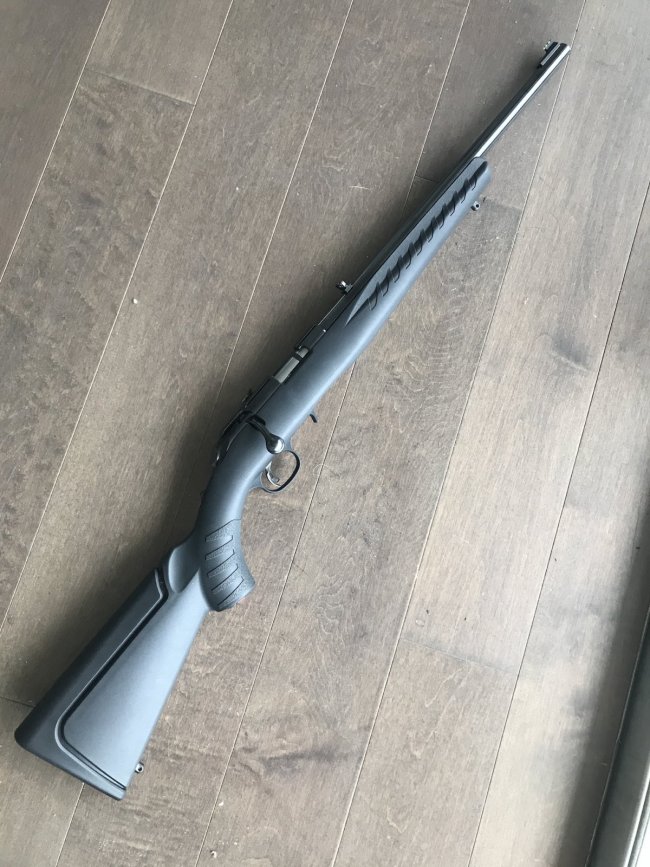 Ruger .22 Rifle - price drop