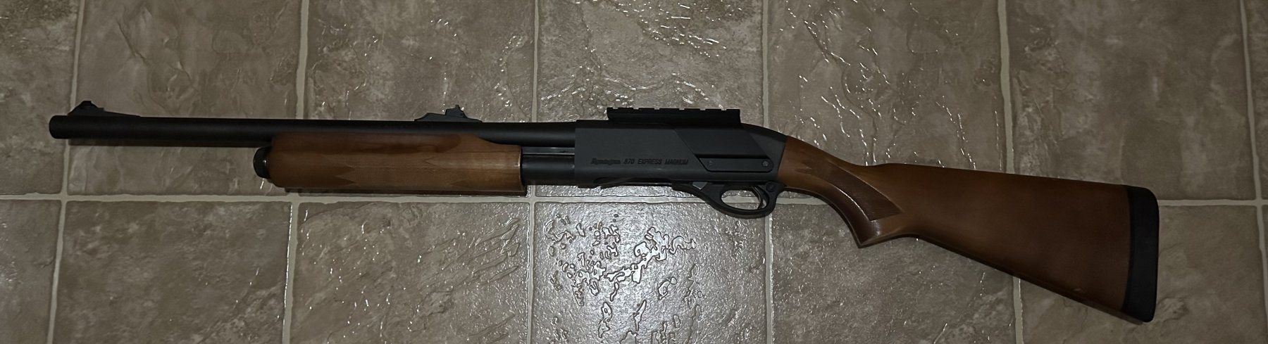 Remington 870.  .12 GA