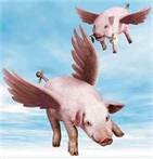 Flying Pigs.jpg