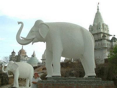 white-elephants.jpg