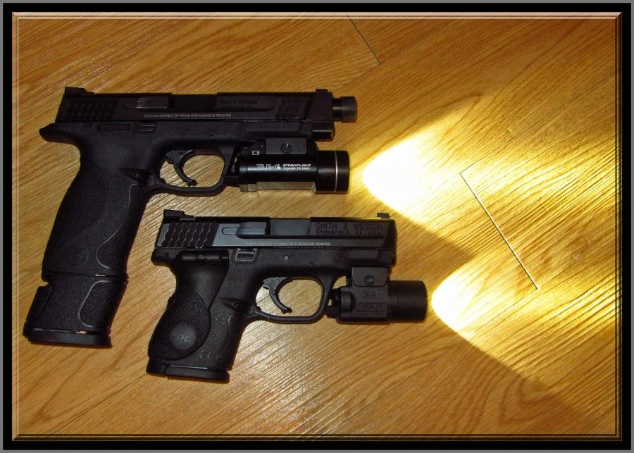 tlr1s and tlr3 on m&p45 and m&p9c.jpg