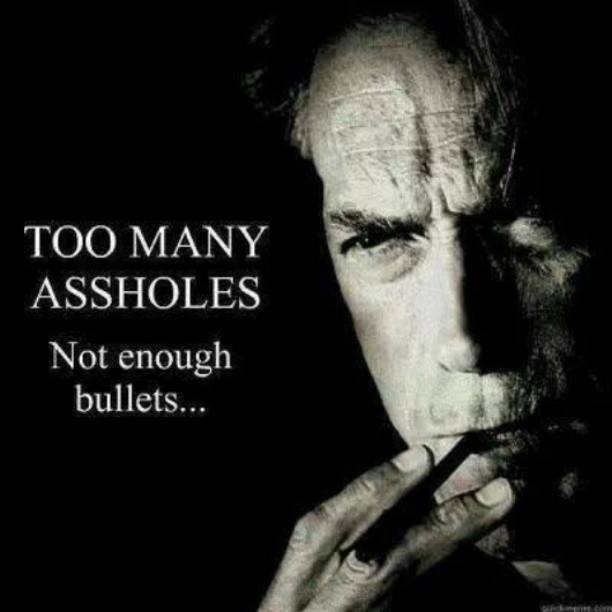 too-many-assholes.-not-enough-bullets....jpg