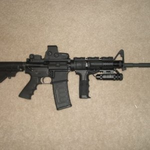 Stag Arms Ar15 W/ Eotech & Green Laser