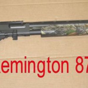 Remington 870 12ga.