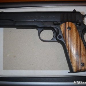 Argentine National Police Colt Systema