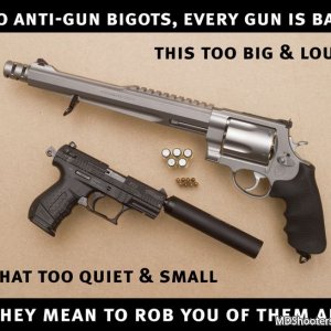 All Guns Are Assault Weapons