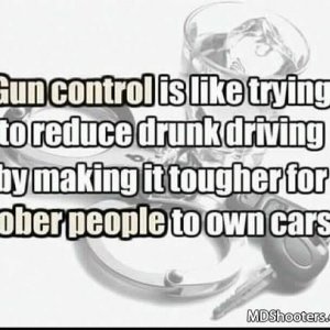 Gun Control Logic