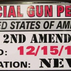 Official Gun Permit
