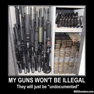 Not Illegal, Undocumented