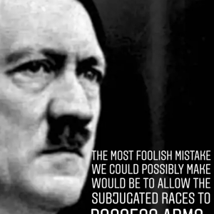 Real Hitler Quote