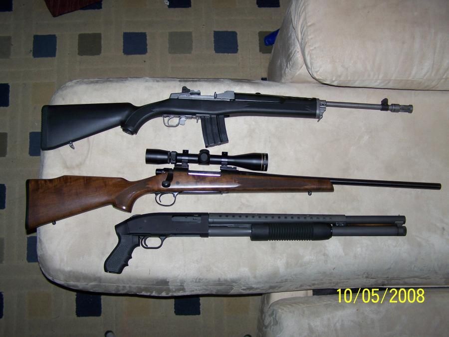 Mini 14, Remington 700, Mossberg 500