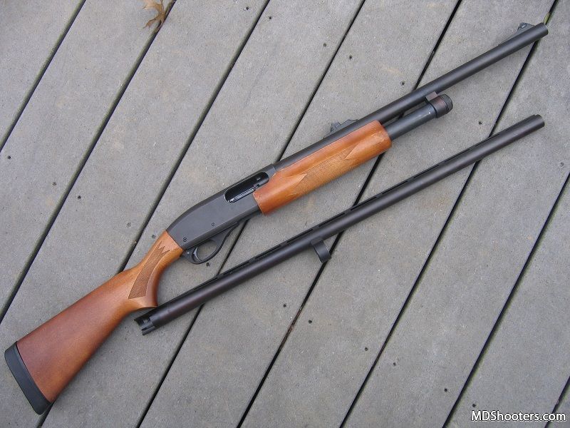 Remington 870 12ga Express Magnum