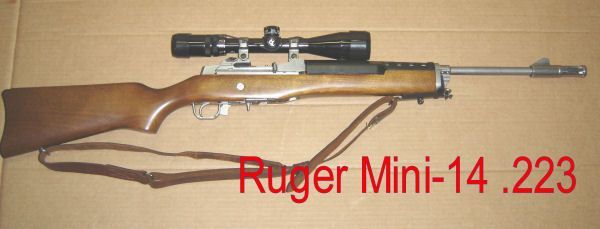 Ruger Mini-14 .223