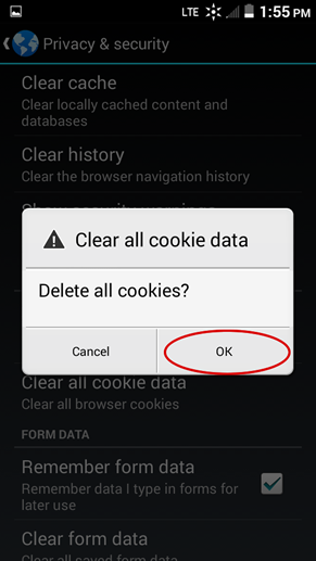 android_browser_step4.png
