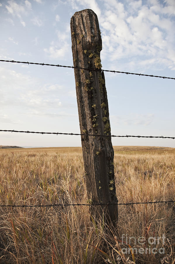 barbed-wire-fencing-and-wooden-post-jetta-productions-inc.jpg