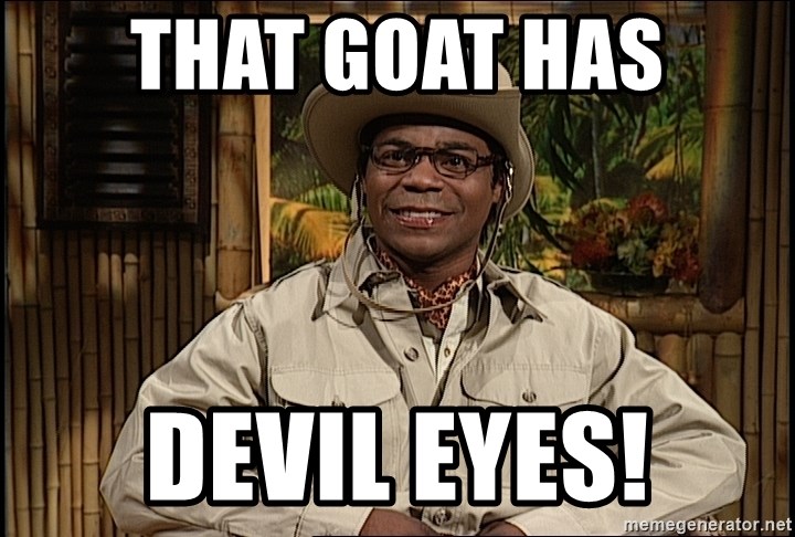 that-goat-has-devil-eyes.jpg