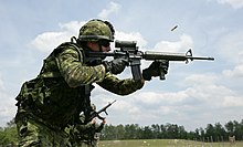 220px-Canadian_C7A2_Rifle.JPG
